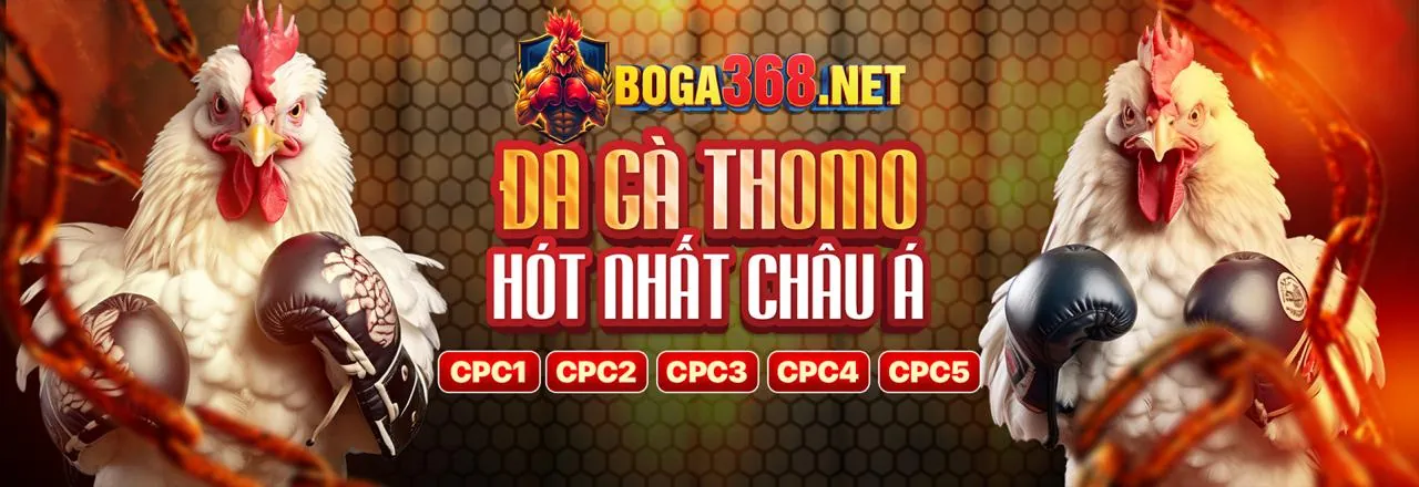 Đá gà trực tuyến qh888 nổ hũ với các trận đấu kịch tính